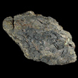 Massive Chlorargyrite Horn Silver