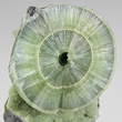 Concentric Radial Wavellite